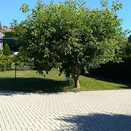 Balazs Πανσιόν